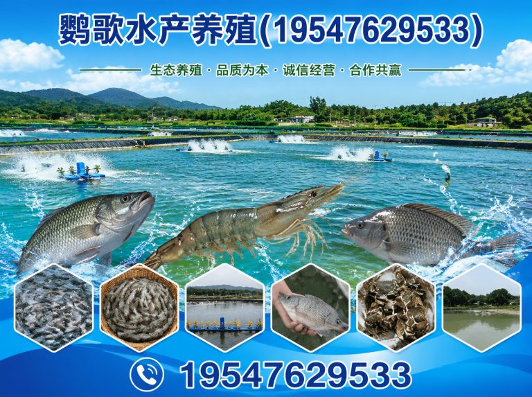 金牛区鹦歌水产养殖展示图